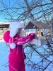               В Усть-Коксе проходит акция «Помоги зимующим птицам» 